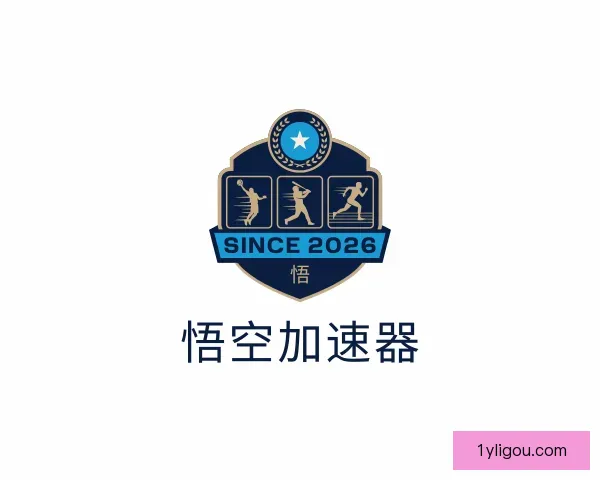 关于悟空加速器VRN